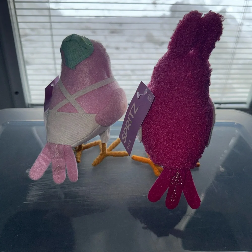 SPRITZ Decorative spring Bird tint & scribble featherly friends- Set of 2 (2025)